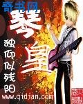 琴皇