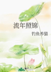 流年照锦